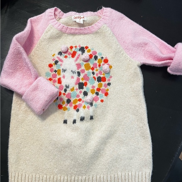 Cat & Jack Other - Girls size 5t sweater pink sleeves